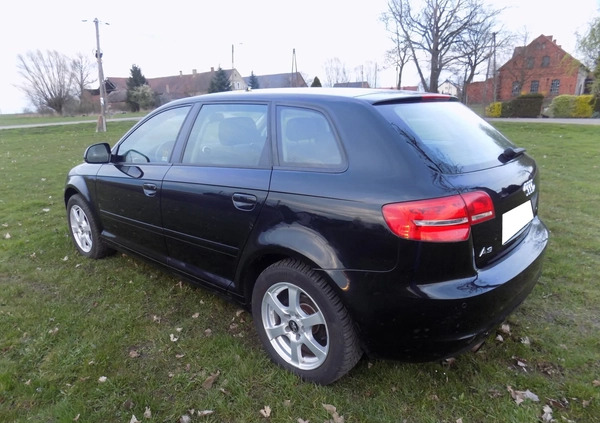 Audi A3 cena 26900 przebieg: 164000, rok produkcji 2010 z Szprotawa małe 407